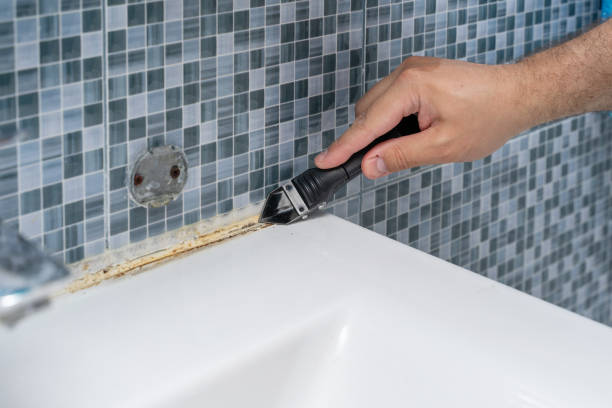 Best Black Mold Remediation in Double Oak, TX