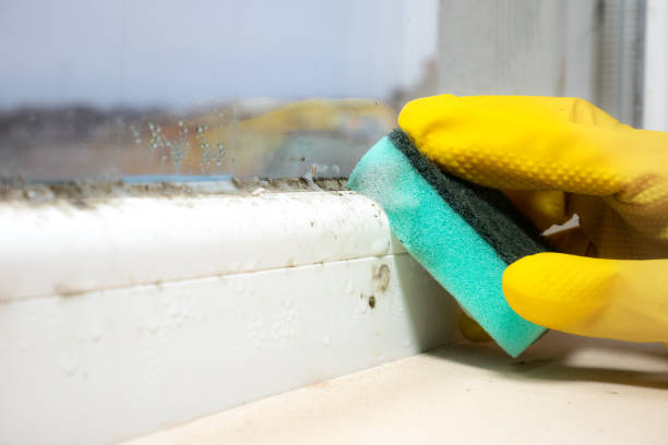 Best Kitchen Mold Remediation in Double Oak, TX