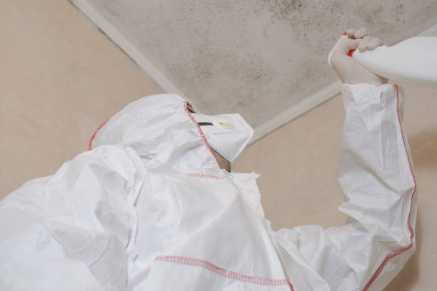 Best Mold Remediation for Schools in Double Oak, TX